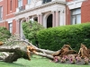 The cherished ornamental trees in front of City Hall were pretty much wiped out by the tornado.